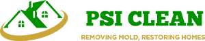 PSI Clean